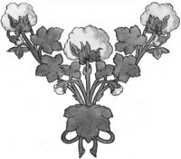 GRAY0546.jpg