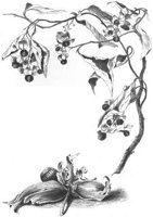 GRAY0544.jpg