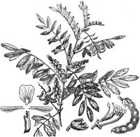 GRAY0543.jpg