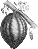 GRAY0538.jpg