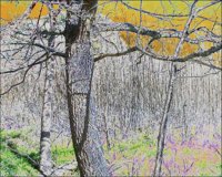 ART1052.jpg