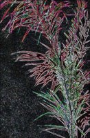 ART1048.jpg