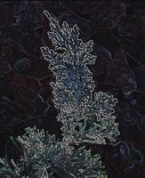 ART1045.jpg