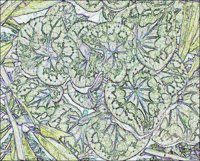 ART1044.jpg