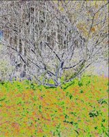 ART1042.jpg