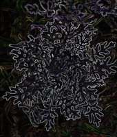 ART1037.jpg