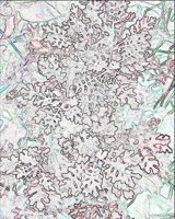 ART1035.jpg