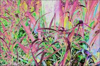 ART1021.jpg