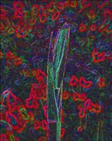 ART1010.jpg