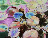 ART0998.jpg