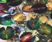 ART0997.jpg