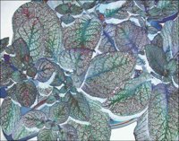 ART0995.jpg