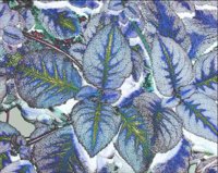 ART0993.jpg