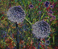 ART0990.jpg
