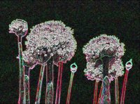ART0989.jpg