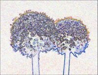 ART0988.jpg