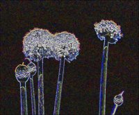 ART0987.jpg