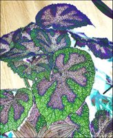 ART0983.jpg