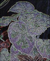 ART0982.jpg
