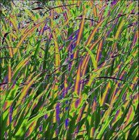ART0981.jpg