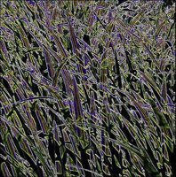 ART0980.jpg
