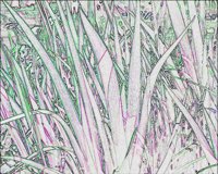 ART0977.jpg