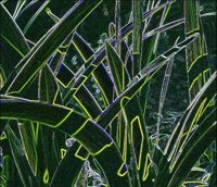 ART0976.jpg