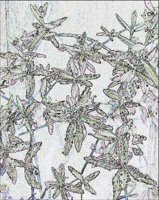 ART0975.jpg