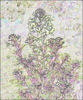 ART0972.jpg