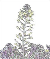 ART0971.jpg