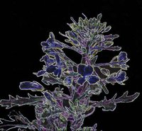 ART0970.jpg