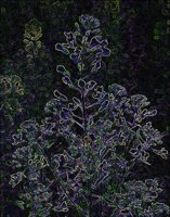 ART0969.jpg