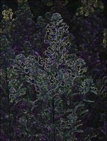 ART0968.jpg