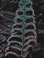 ART0964.jpg