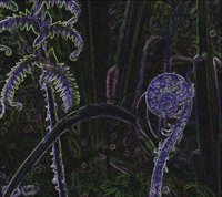 ART0962.jpg