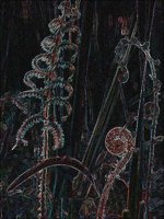 ART0960.jpg