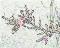 ART0959.jpg