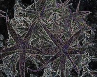 ART0958.jpg