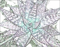 ART0957.jpg