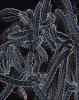 ART0955.jpg