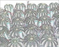 ART0953.jpg