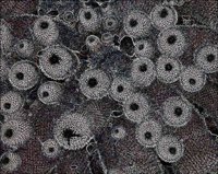 ART0947.jpg