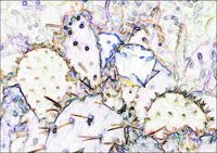 ART0945.jpg