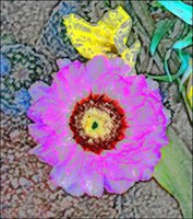 ART0941.jpg