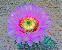 ART0940.jpg
