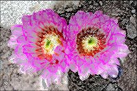 ART0936.jpg