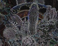 ART0925.jpg