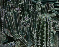 ART0924.jpg