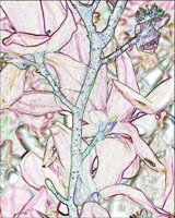 ART1121.jpg