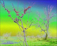 ART1119.jpg